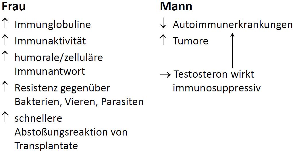 Unterschiede des Immunsystems bei Mann und Frau